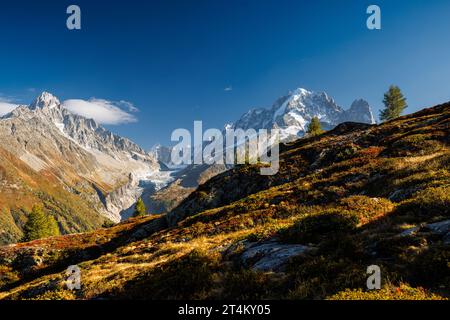 Ghiacciaio d'Argentière con Aiguille du Dru, Aiguille verte e Aiguille du Chardonnet in autunno vicino a Chamonix, Francia Foto Stock