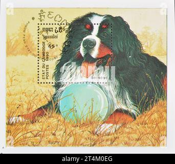 Foglio ricordo con francobollo annullato stampato dalla Cambogia, che mostra il cane da montagna bernese (Canis lupus familiaris), circa 1990. Foto Stock