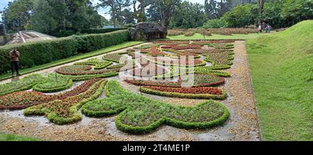 bellissimi ceanari in questo giardino. posto fresco. Foto Stock