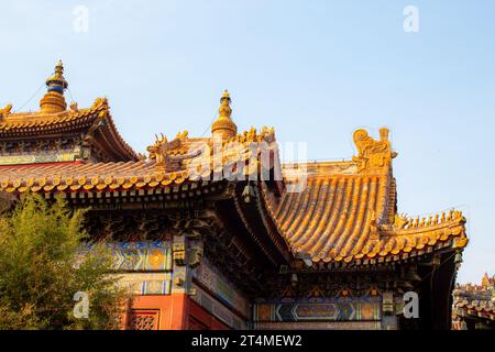 Primo piano sui dettagli del tetto del Lamasery di Yonghegong, il Lamasery di Yonghe è il più grande tempio tibetano buddista dei lama a Pechino, costruito nel 1694. Foto Stock