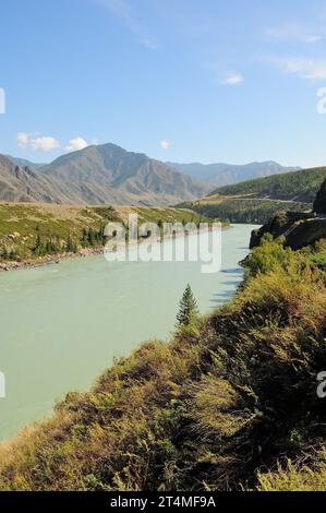 Un ampio canale di un bellissimo fiume turchese con alte sponde scorre attraverso una pittoresca valle di montagna in una soleggiata giornata estiva. Fiume Katun, Altai, S Foto Stock