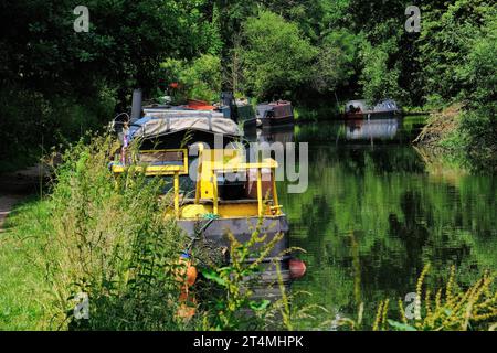 Sentiero di traino, barche sui canali e riflessi sul Grand Union Canal (River Gade) vicino a Rickmansworth, Colne Valley, Hertfordshire, Inghilterra, Regno Unito Foto Stock