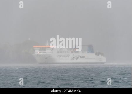 Traghetto Interislander che viaggia su acri dello stretto di Cook, nuova Zelanda in nebbia fitta con visibilità limitata Foto Stock