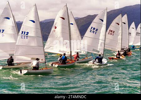 I marinai della classe Zephyr competono ad un evento nazionale, Wellington, nuova Zelanda Foto Stock