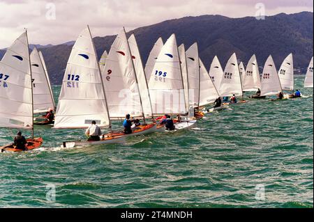 I marinai della classe Zephyr competono ad un evento nazionale, Wellington, nuova Zelanda Foto Stock