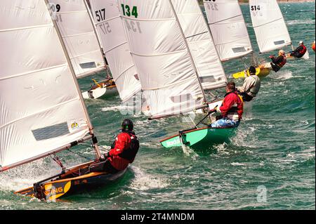 I marinai della classe Zephyr competono ad un evento nazionale, Wellington, nuova Zelanda Foto Stock