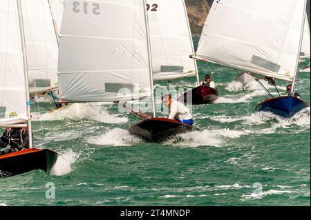 I marinai della classe Zephyr competono ad un evento nazionale, Wellington, nuova Zelanda Foto Stock