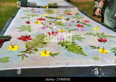 Cliente che mette felci su stoffa per la produzione di pareo, Mahe Seychelles Foto Stock