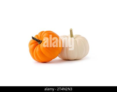 Due zucche autunnali fresche di colore arancione e bianco isolate su sfondo bianco. Foto Stock