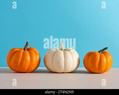 Zucche grezze autunnali su tavolo da cucina in legno su sfondo blu con spazio per le copie. Foto Stock