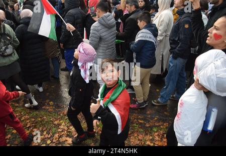 L'Aia, Paesi Bassi. 29 ottobre 2023. Migliaia di persone partecipano a una manifestazione a sostegno dei palestinesi a l'Aia, nei Paesi Bassi, il 29 ottobre 2023. (Foto di Mouneb Taim/INA Photo Agency/Sipa USA) credito: SIPA USA/Alamy Live News Foto Stock