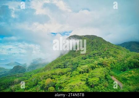 Shot di drone dalla fabbrica di tè, montagna Morn blanc sotto il verde delle nuvole, cielo nuvoloso, Mahe Seychelles Foto Stock