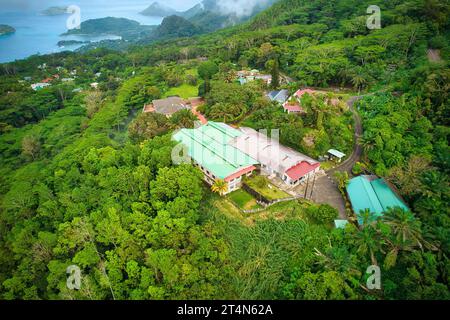 17.10.2023 Mahe, Seychelles Drone girato della fabbrica di tè, all'interno del parco nazionale Foto Stock