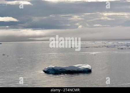 iceberg in acque ghiacciate vicino a hope bay. penisola antartica. antartide Foto Stock