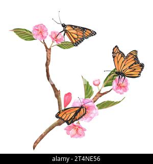 Illustrazioni ad acquerello disegnate a mano. Sakura si ramifica con fiori rosa e foglie verdi e farfalle su questi Foto Stock