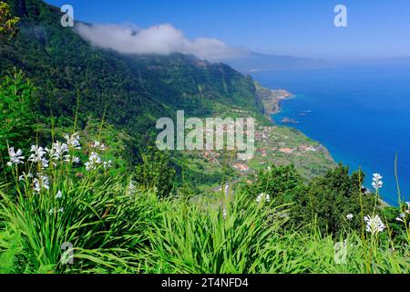 Vista dal punto panoramico Miradouro da Beira da Quinta su Sao Jorge, White (Lilium Candidum) Lilies North Coast, Madeira Island, Oceano Atlantico, Costa Foto Stock