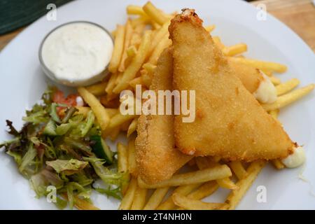 Formaggio Edam fritto Smazeny Syr con patatine fritte e salsa tartara Foto Stock