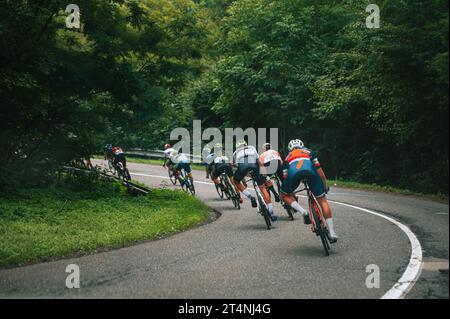 In discesa in una gara di ciclismo professionale. Atleti in verde natura estiva su strada Foto Stock