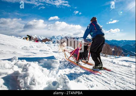 La scena dei cani da slitta nelle alpi Italiane Foto Stock