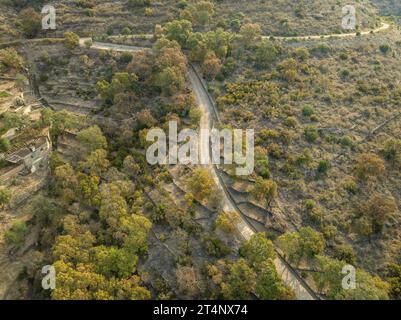 Drought in the oak forest and olive fields during the summer of 2023 at the Cap de Creus cape, near Cadaqués (Alt Empordà, Girona, Catalonia Spain) Stock Photo