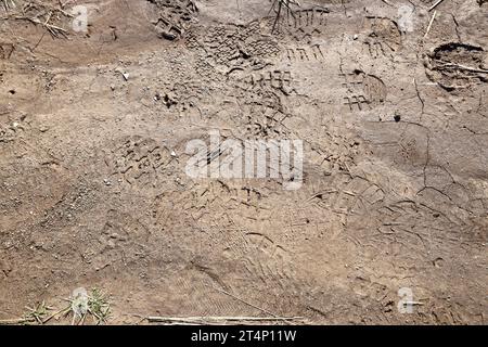 Segnare i piedi sul sentiero della giungla. Stampe di scarpe su ghiaia bagnata o fango nelle zone di montagna all'aperto Foto Stock