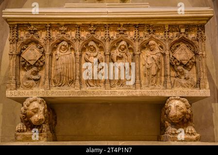 Tomba gotica di Bernat Despujol, situata nell'ambulatorio della cattedrale di Vic (Osona, Barcellona, Catalogna, Spagna) ESP: Sepulcro Gótico en Vic Foto Stock