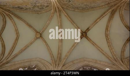 Volte con chiavi gotiche nel chiostro della Cattedrale di San Pietro di Vic (Osona, Barcellona, Catalogna, Spagna) ESP: Bóvedas con claves góticas Foto Stock