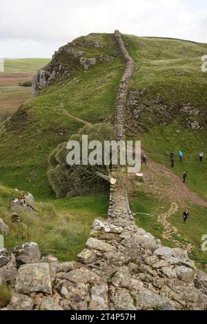 Foto del file datata 29/09/23 dell'albero abbattuto Sycamore Gap, sul Vallo di Adriano nel Northumberland. Due uomini sono stati arrestati in relazione all'abbattimento dell'albero famoso in tutto il mondo, ha detto la polizia di Northumbria. L'albero nel Northumberland, che si ritiene avesse circa 300 anni, fu abbattuto durante la notte tra il settembre 27 e il 28 in quello che la polizia crede fosse un atto deliberato di vandalismo. Data di emissione: Mercoledì 1 novembre 2023. Foto Stock