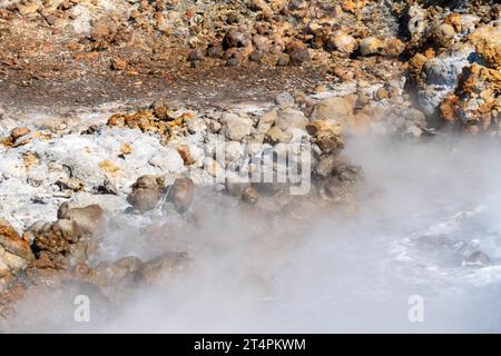 Primo piano dell'area geotermica delle sorgenti termali di Gunnuhver, parte del Geoparco globale dell'UNESCO di Reykjanes in Islanda Foto Stock