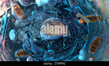 Subunità all'interno di cellule eucariotiche, nuclei e organelli e membrana plasmatica - illustrazione 3d Foto Stock