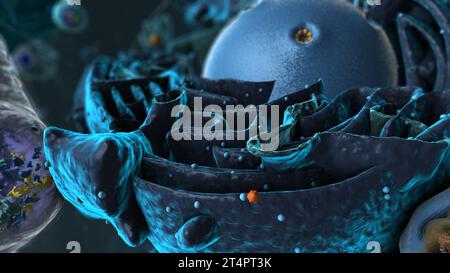 Organelli all'interno di Eukaryote, attenzione al reticolo - illustrazione 3d. Foto Stock