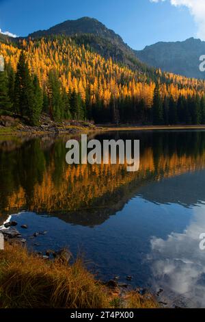 Lago Strawberry con larice occidentale (Larix occidentalis) in autunno, Strawberry Mountain Wilderness, Malheur National Forest, Oregon Foto Stock