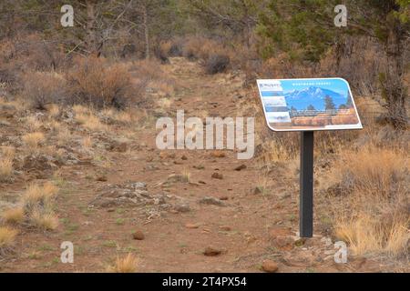 Santiam Wagon Road, Whychus Canyon Preserve, Oregon Foto Stock