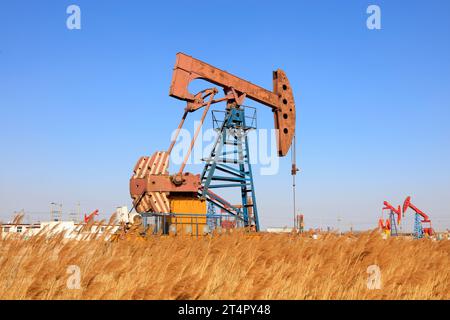 Unità di pompaggio e canna sotto il cielo blu in giacimenti petroliferi Foto Stock