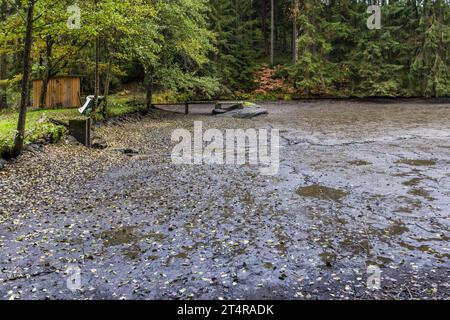 Stagno vuoto di carpe a Falkenberg poco dopo la pesca, Wiesau (VGem), Germania Foto Stock