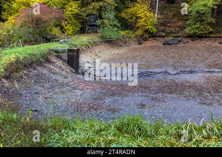 Laghetto di carpe vuoto a Falkenberg poco dopo la pesca. Wiesau (VGem), Germania Foto Stock