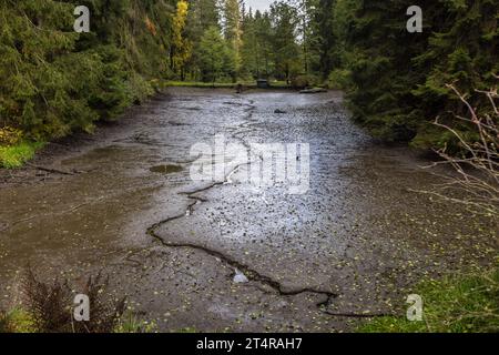 Laghetto di carpe vuoto a Falkenberg poco dopo la pesca. Wiesau (VGem), Germania Foto Stock