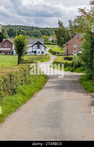 Paesaggio di strada rurale olandese tra fattorie agricole, cespugli e appezzamenti, stretta e tortuosa, collina con alberi frondosi sullo sfondo, cielo coperto di nuvole Foto Stock