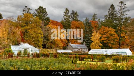 Balmoral Estates Crathie Scozia foglie di alberi colorati di colore giallo brillante e rosso intorno alle serre in autunno Foto Stock