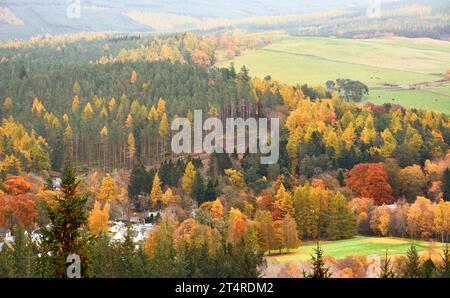 Balmoral Estates Crathie Scozia guardando giù per la valle di Dee verso case, alberi colorati e foglie in autunno Foto Stock
