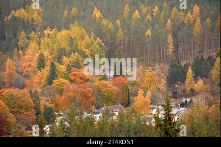 Balmoral Estates Crathie Scozia guardando lungo la valle di Dee verso case con alberi colorati e foglie in autunno Foto Stock