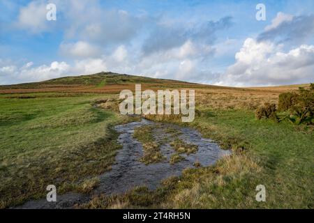 Vista Cox Tor a Dartmoor con un flusso dopo le precipitazioni Foto Stock