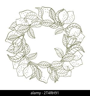 Composizione di ramoscelli di limone e limoni sotto forma di corona. Composizione agrumata in stile grafico. Illustrazione vettoriale isolata su uno sfondo bianco Illustrazione Vettoriale