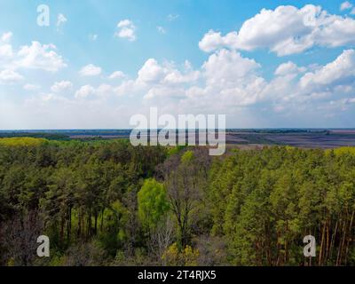 Cielo blu nuvoloso su una fitta foresta, vista aerea. Bel cielo nuvoloso sopra la foresta. Foto Stock