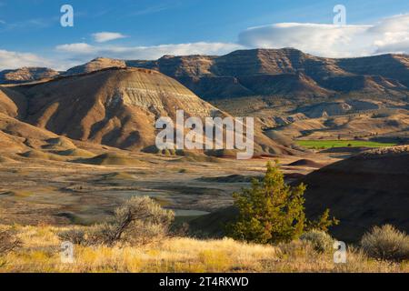 Carroll Rim from Painted Hills Overlook Trail, John Day Fossil Beds National Monument-Painted Hills Unit, Oregon Foto Stock