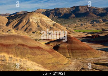 Carroll Rim from Painted Hills Overlook Trail, John Day Fossil Beds National Monument-Painted Hills Unit, Oregon Foto Stock