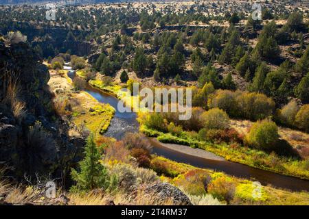 Donner und Blitzen Wild and Scenic River dal Blitzen River Trail, Steens Mountain Cooperative Management and Protection area, Oregon Foto Stock