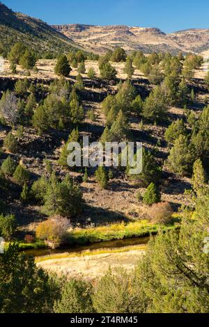 Donner und Blitzen Wild and Scenic River dal Blitzen River Trail, Steens Mountain Cooperative Management and Protection area, Oregon Foto Stock