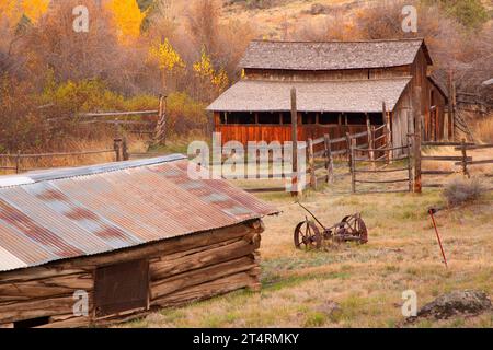 Fienile con negozio, Donner und Blitzen Wild and Scenic River, Steens Mountain Cooperative Management and Protection area, Oregon Foto Stock