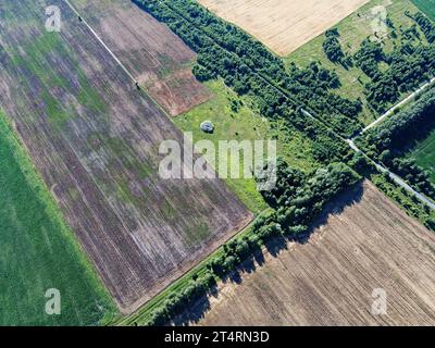 Crocevia di due strade tra campi agricoli, vista aerea. Paesaggio agrario, vista dall'alto. Foto Stock